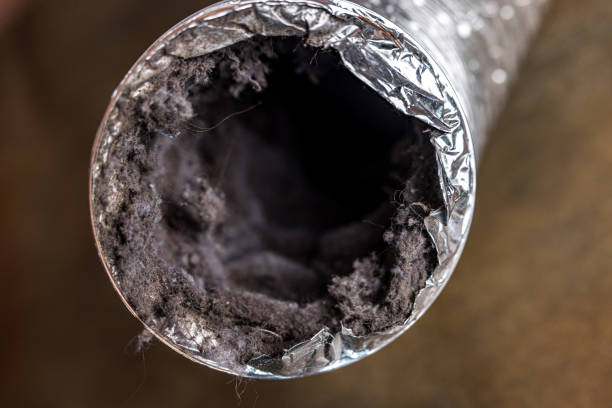 Best Affordable Duct Cleaning Services  in Blennerhassett, WV