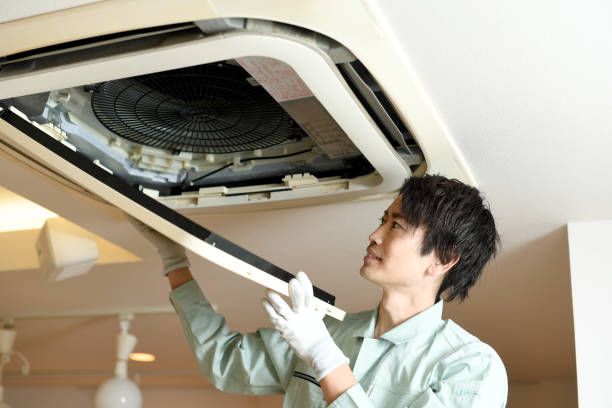 Best Emergency Air Duct Cleaning  in Blennerhassett, WV